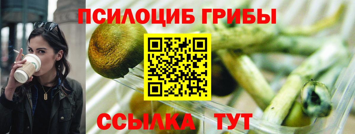 Нефтекамск  Галлюциногенные грибы GOLDEN TEACHER  Вход с VPN  Псилоцибиновые грибы Magic Shrooms 