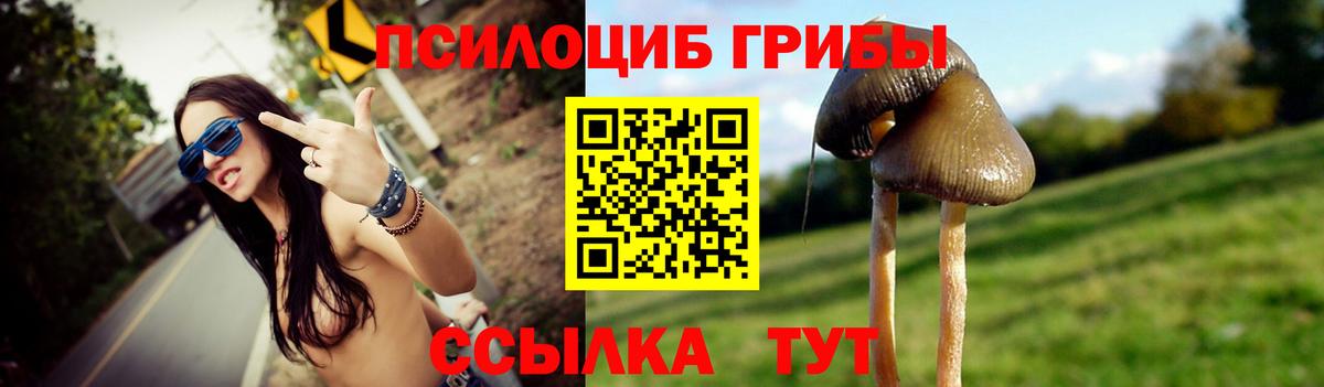Галлюциногенные грибы Cubensis Нефтекамск